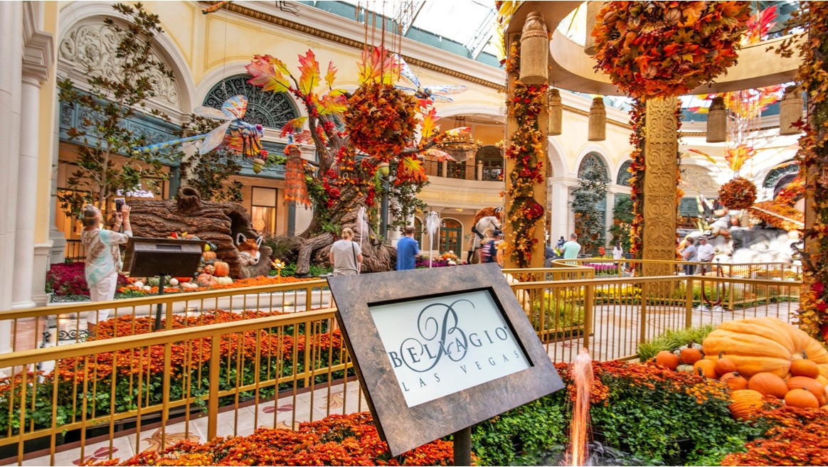 The autumn display is unveiled at the Bellagio Conservatory and Botanical Gardens