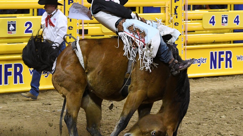 Richmond Champion competes in bareback riding