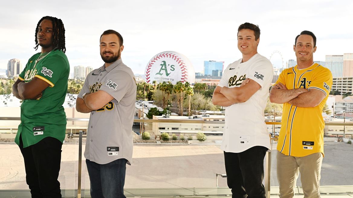 l b s l m m b r l v p d t for lvcva