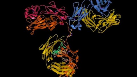Animated-infliximab-antibody