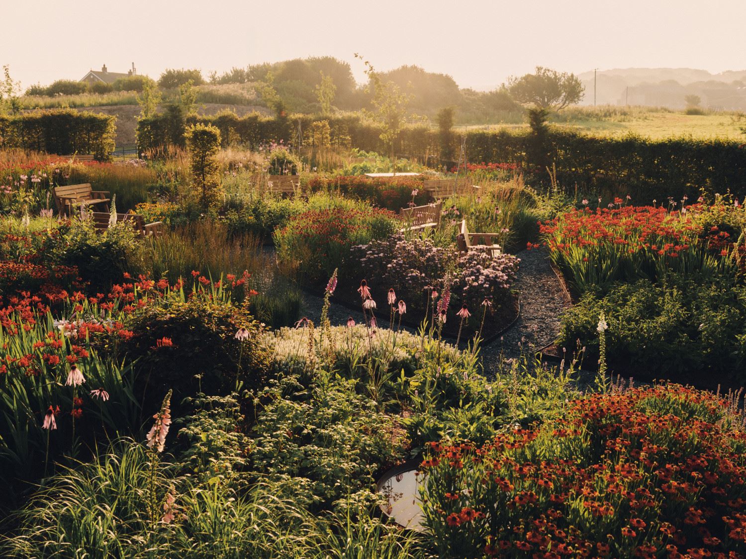 b b n b 12 garden 079 1 