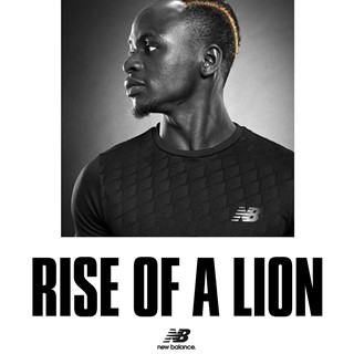 Rise of a lion