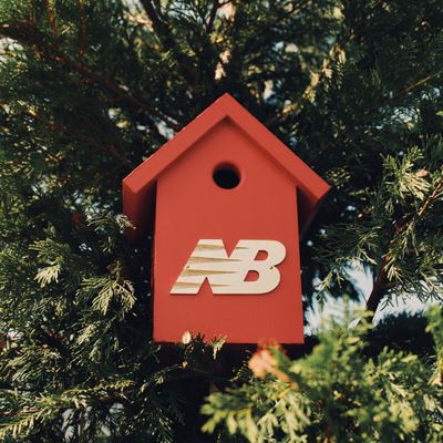 b b n b 12 garden 311 4 