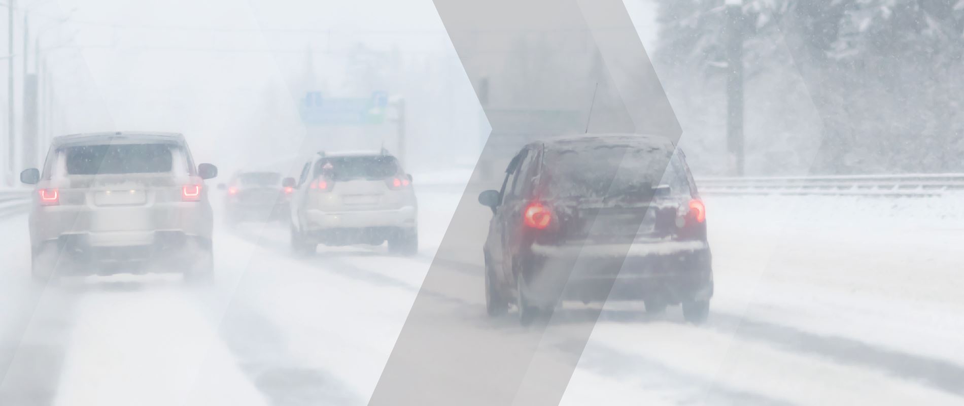 green-ncap-tests-reveal-the-real-world-trade-offs-of-electric-and-combustion-cars