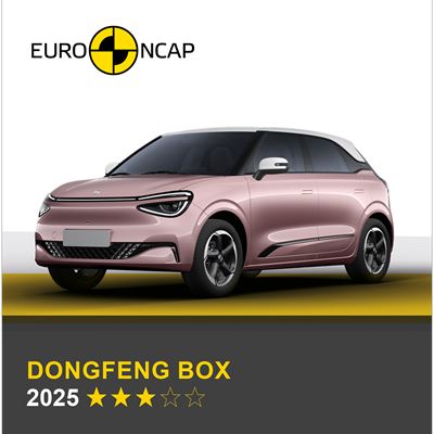 Dongfeng BOX 2025 Banner