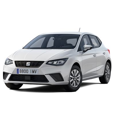 SEAT Ibiza Green NCAP results 2025