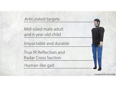 Adult dummy for AEB pedestrian tests