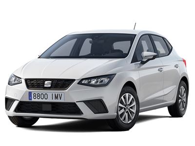 SEAT Ibiza Green NCAP results 2025