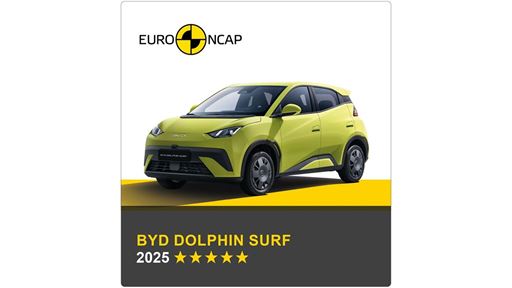 BYD DOLPHIN SURF Banner