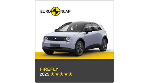 firefly Banner