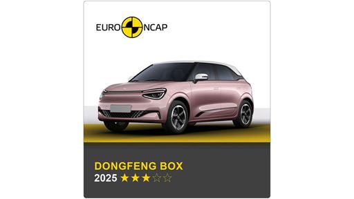 Dongfeng BOX 2025 Banner