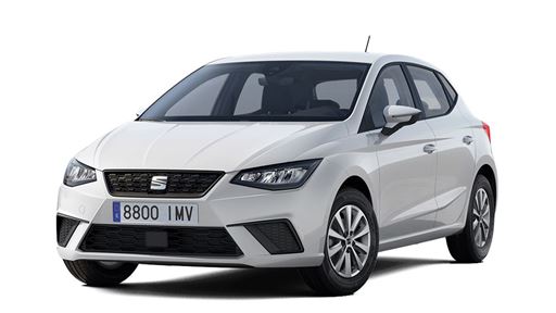 SEAT Ibiza Green NCAP results 2025