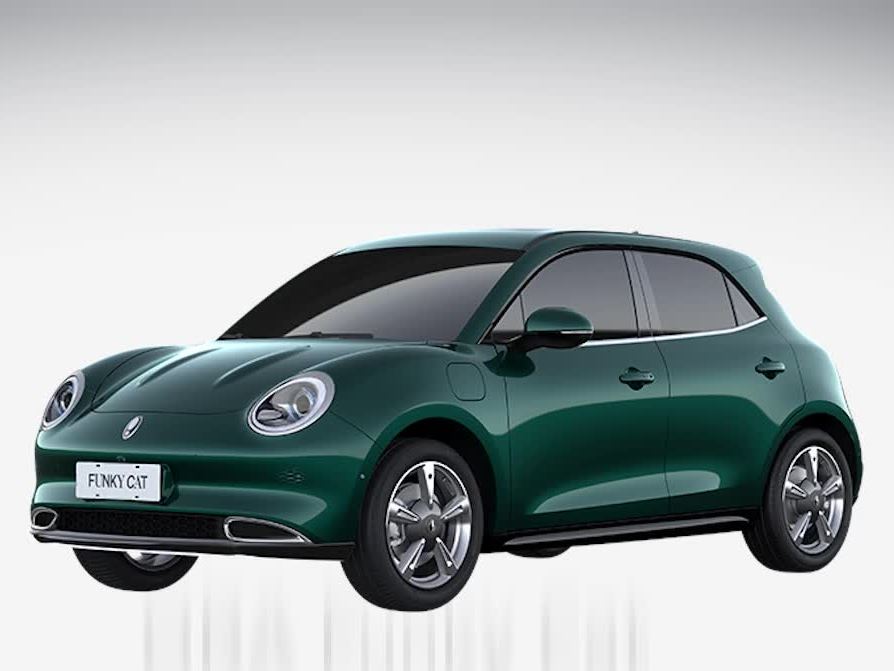 ora-funky-cat---crash---safety-tests---2022