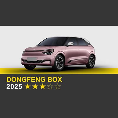 Dongfeng BOX - Crash & Safety Tests - 2025
