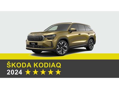 Škoda Kodiaq - Euro NCAP 2024 Results - 5 stars
