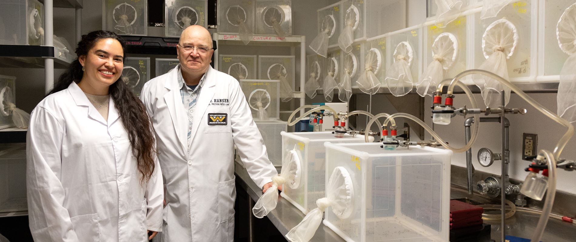NMSU researchers new formula for mosquito food helps stop spread of disease
