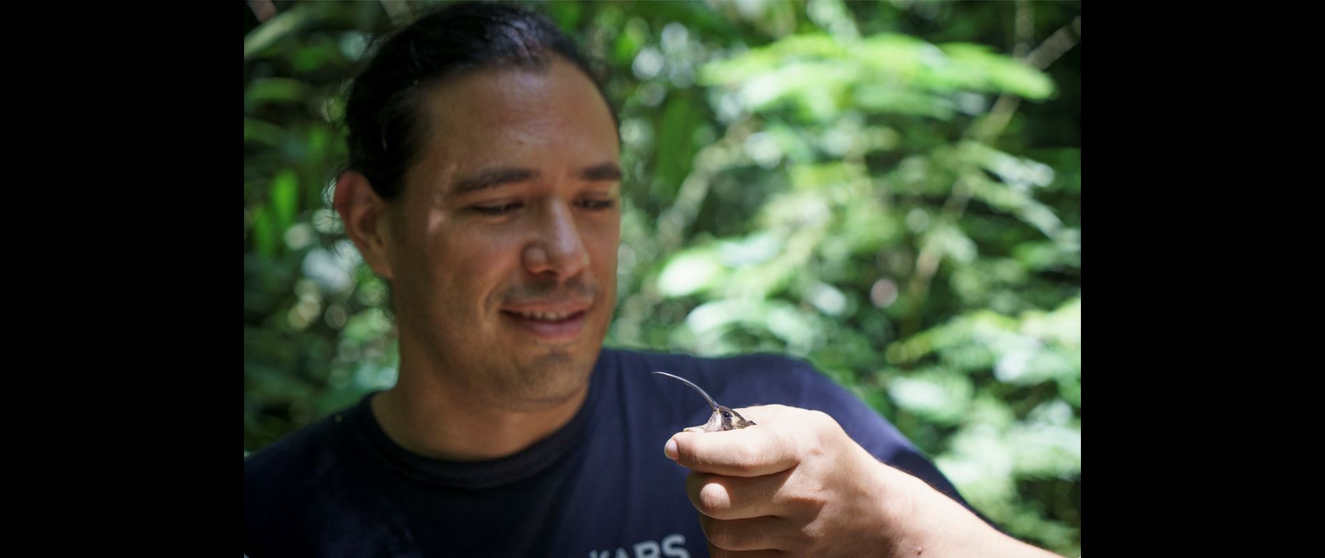NMSU alum awarded prestigious honor in field biology for innovative research