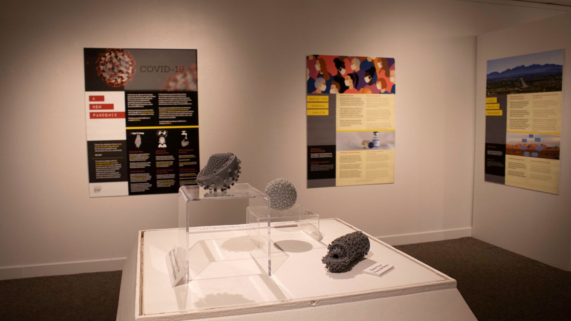 The "Outbreak: Epidemics in a Connect World" exhibit in the University Museum’s West Gallery contains 3D prints of virus