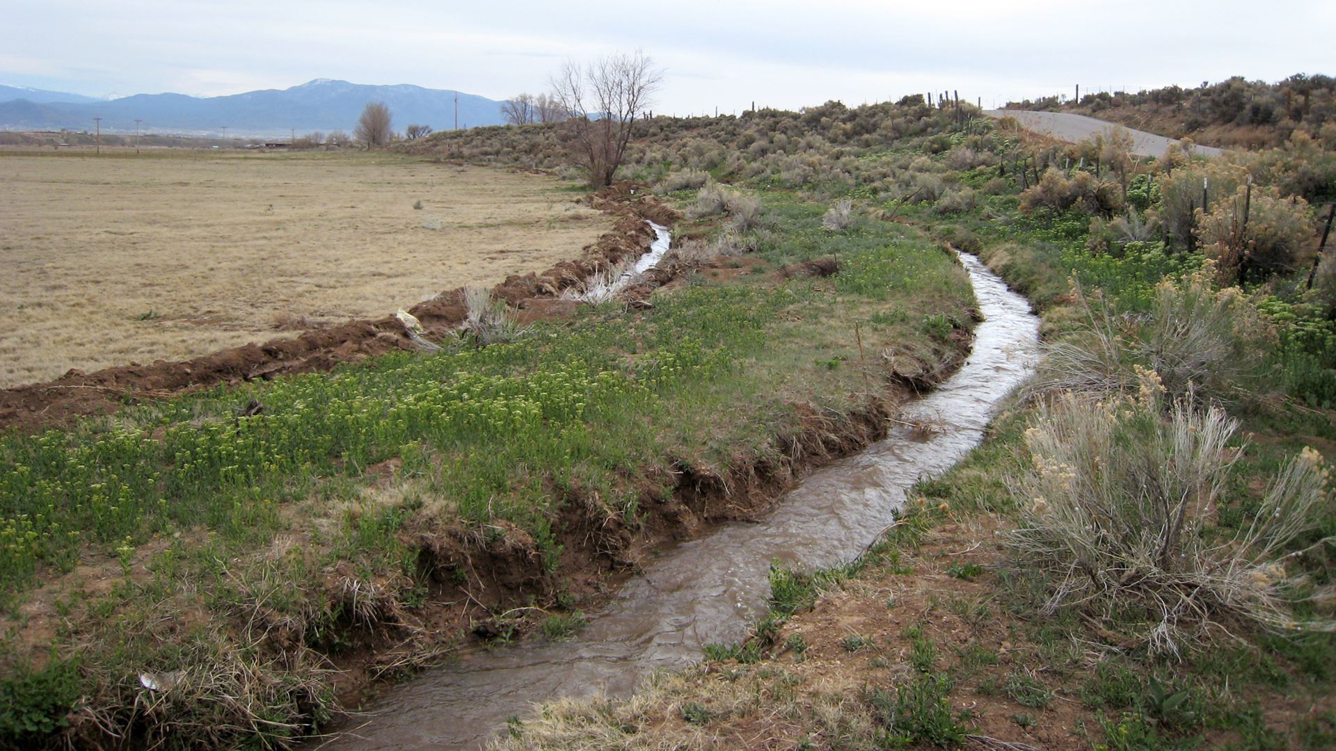 NMSU Alcalde field day event marks 20 years of acequia research