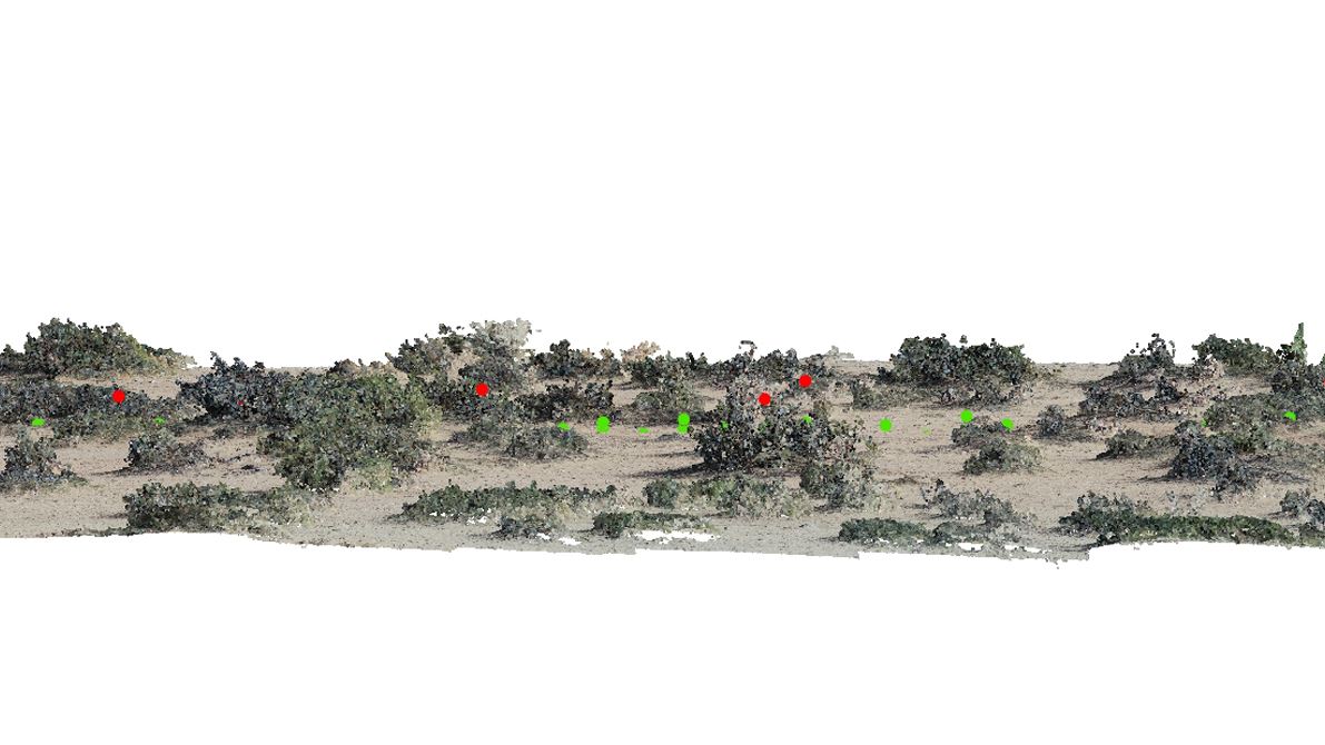 A segment of a 3D-point cloud captured by an unmanned aerial vehicle with classified photons overlaid at the Jornada Bas