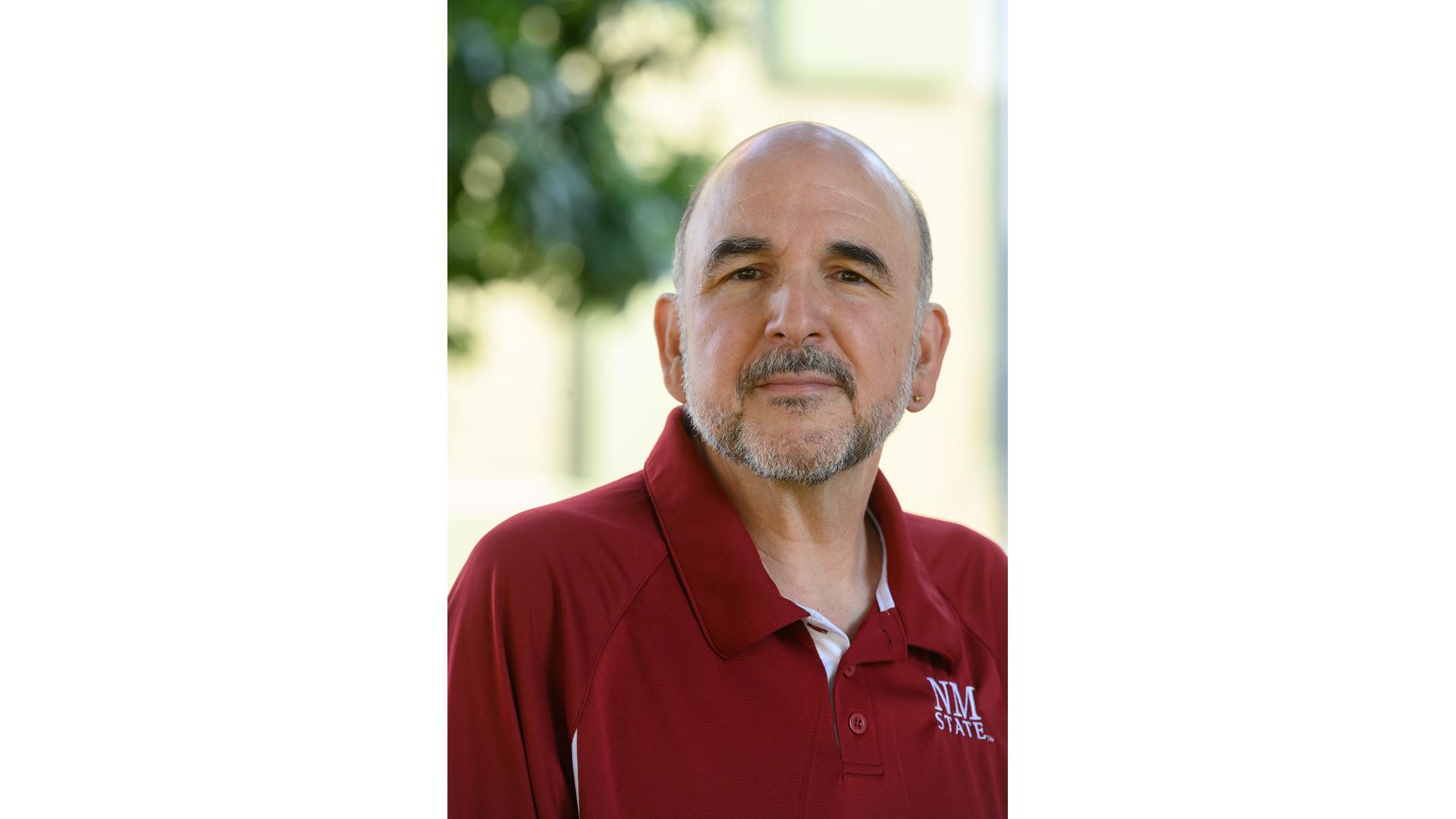 NMSU committee begins search for new library dean