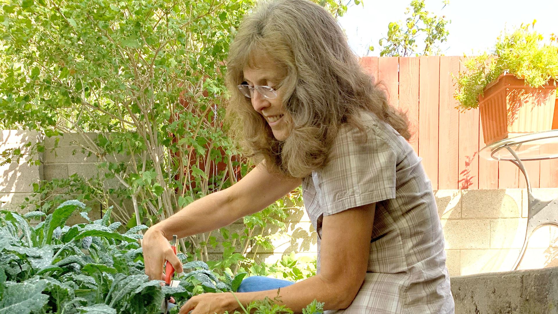 NMSU Seed to Supper program creates virtual gardening community, offers free online course