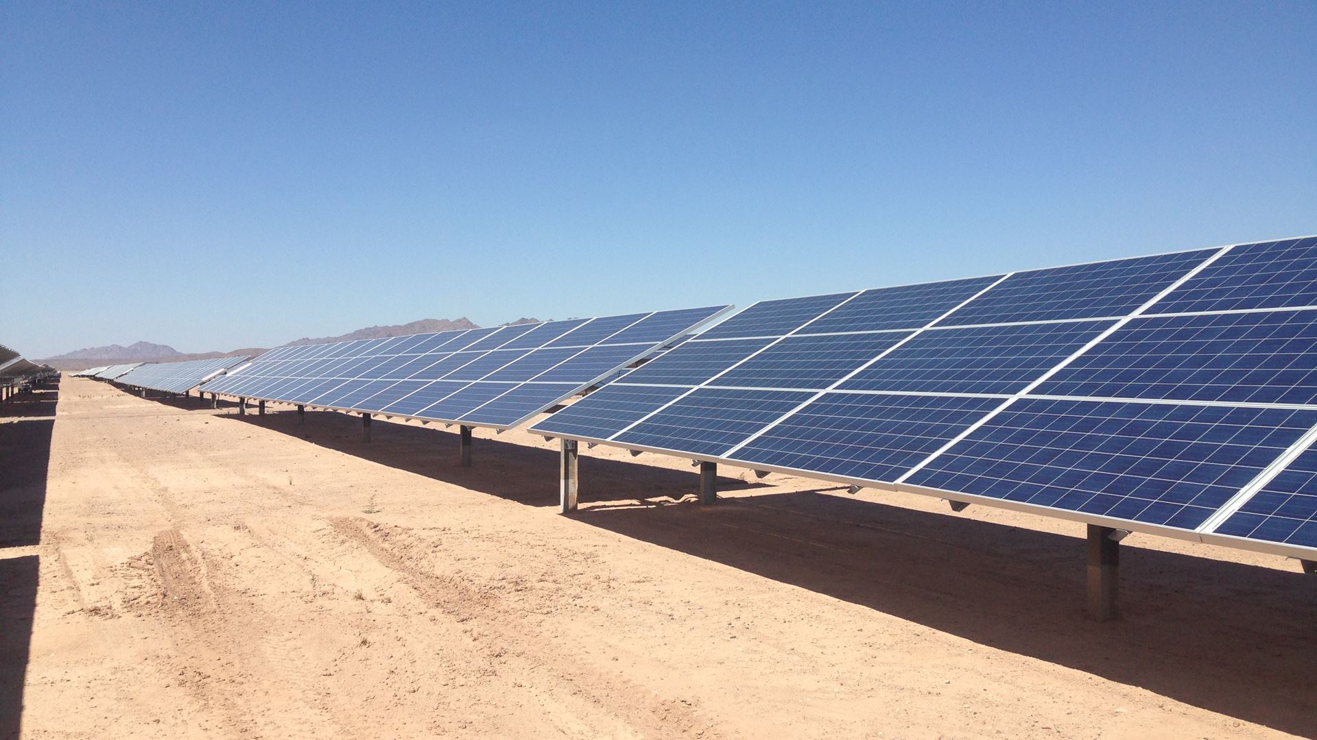 Arrowhead Innovation Fund helps Osazda Energy grow, investigate environmental effects of solar cells