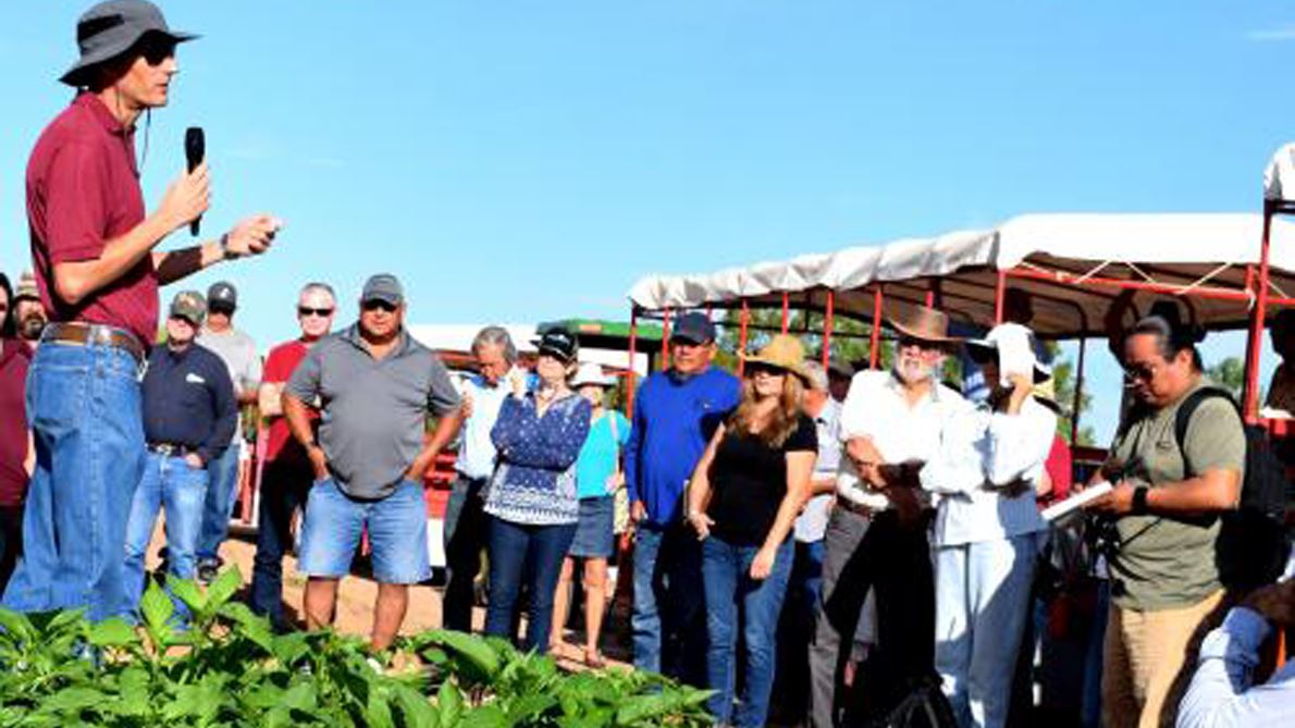 NMSU science centers provide agricultural industry with research-based solutions