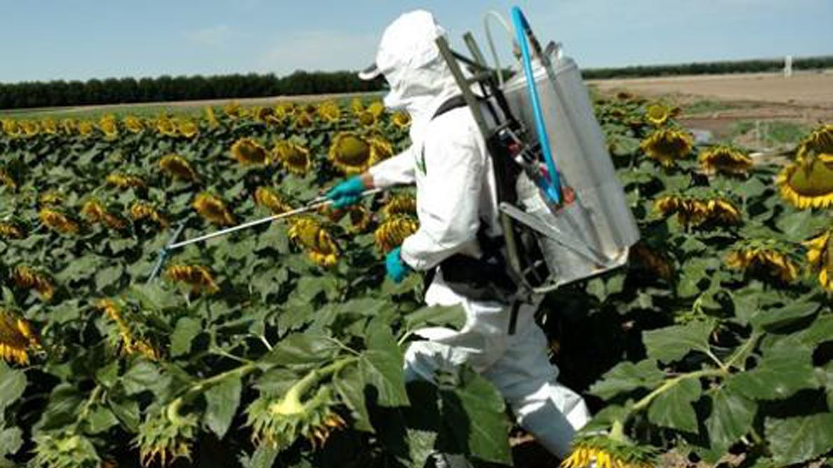NMSU Extension to provide pesticide applicator training online