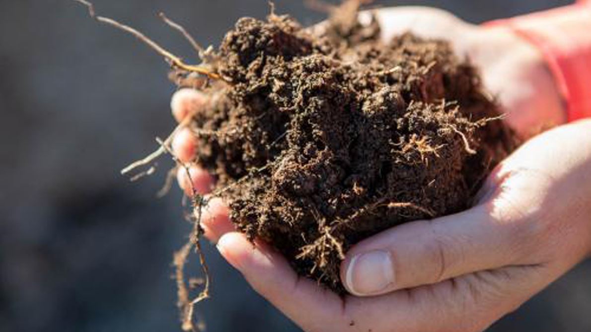 NMSU to host two-day soil health workshop online Sept. 22-23