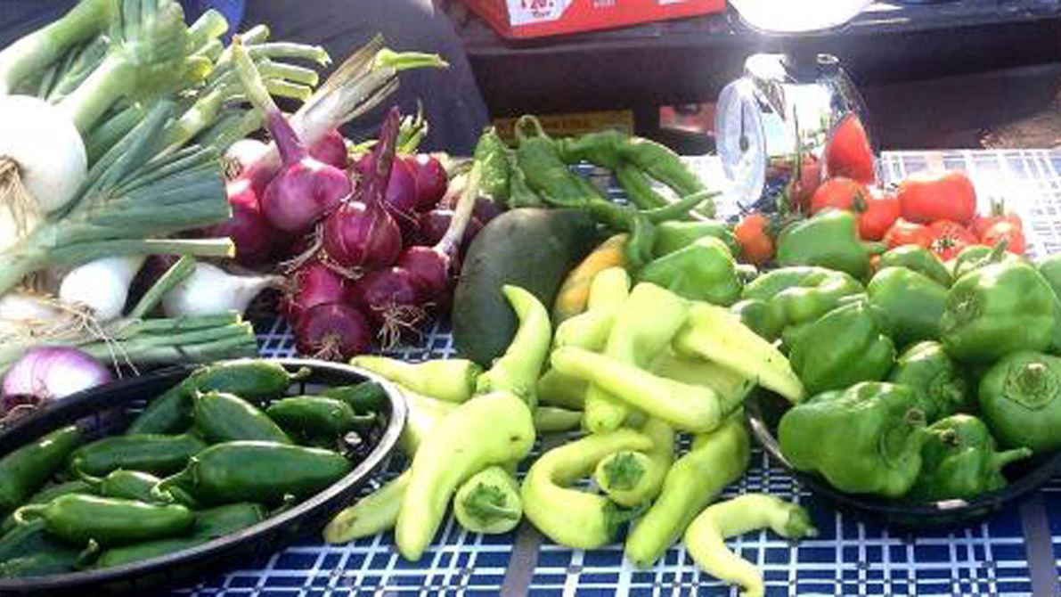 New Mexico State University Cooperative Extension Service is presenting the federally required Produce Safety Alliance’s