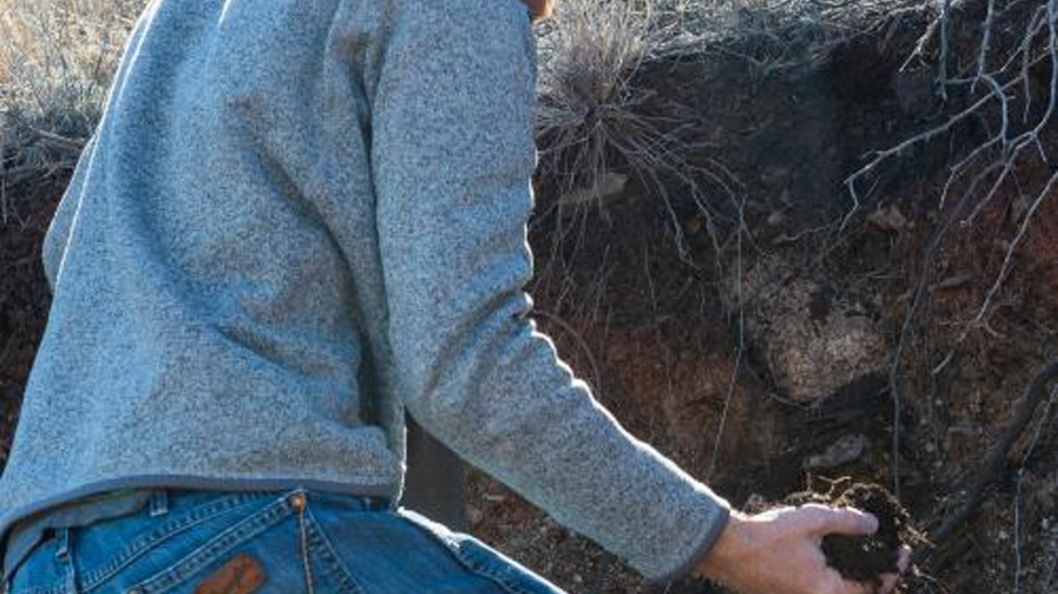 Research to improve soil health takes root at NMSU
