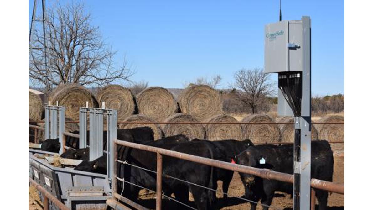NMSU offers new Innovators in Agriculture Camp online
