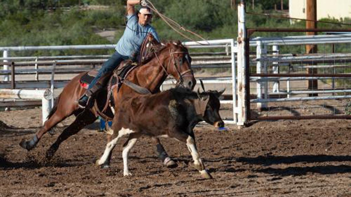 NMSU rodeo spring opener scheduled for March 7