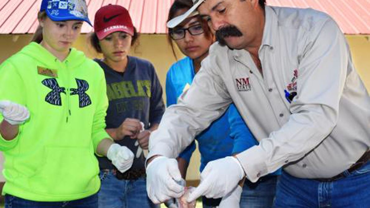 NMSU Extension Youth Ranch Management Camp application deadline April 10