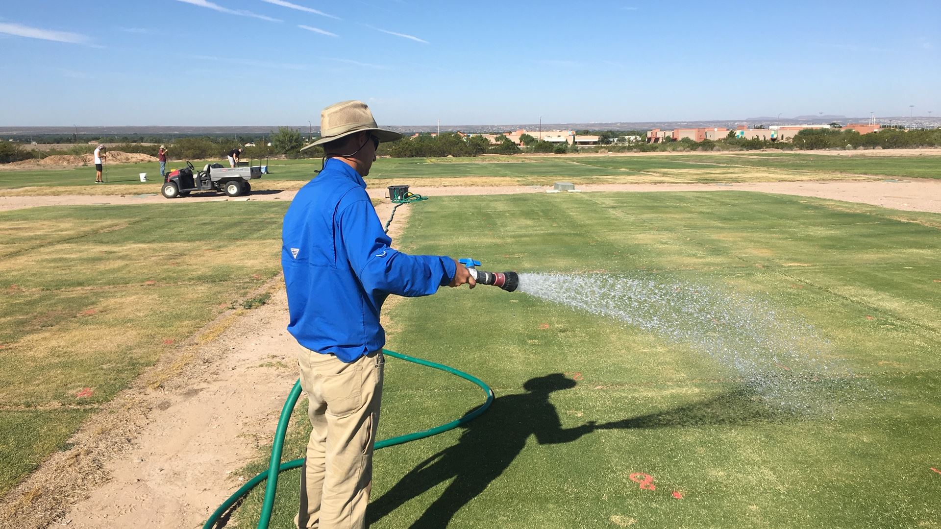 Soil-health Grass