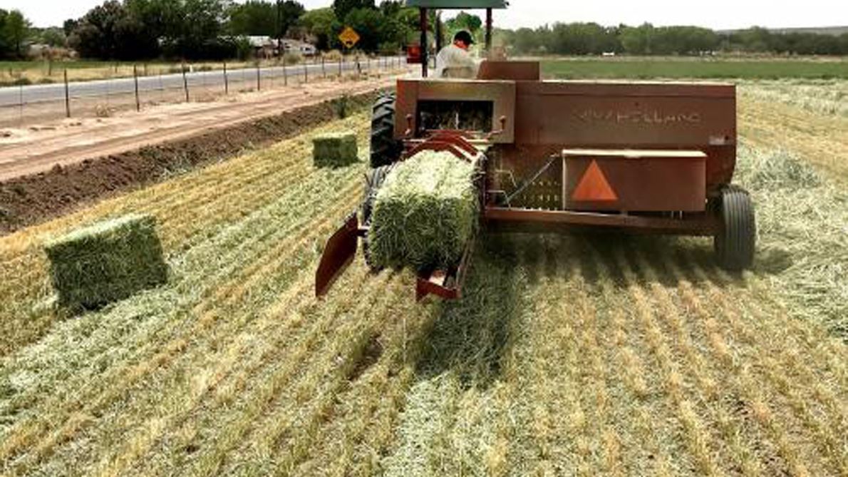 NMSU, NM Hay Association to host conference in Ruidoso Jan. 30-31