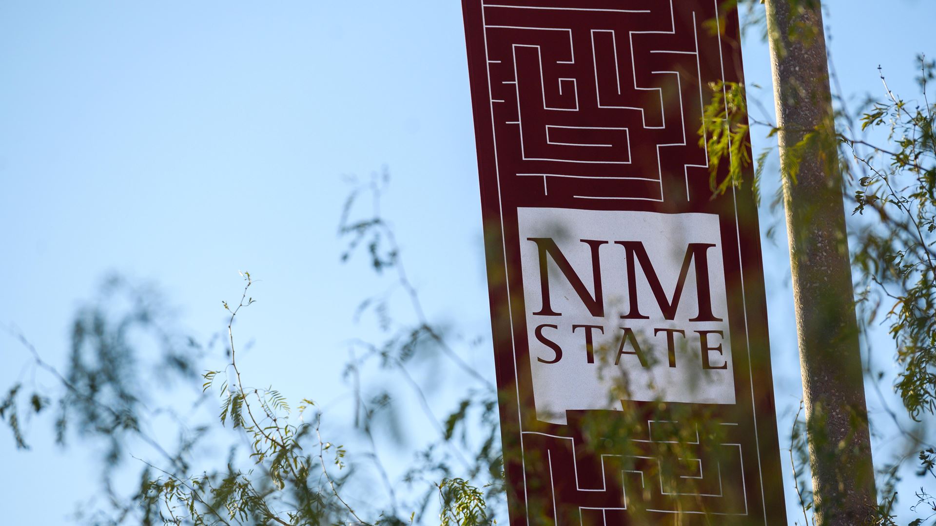 NMSU ranks as a national top tier university