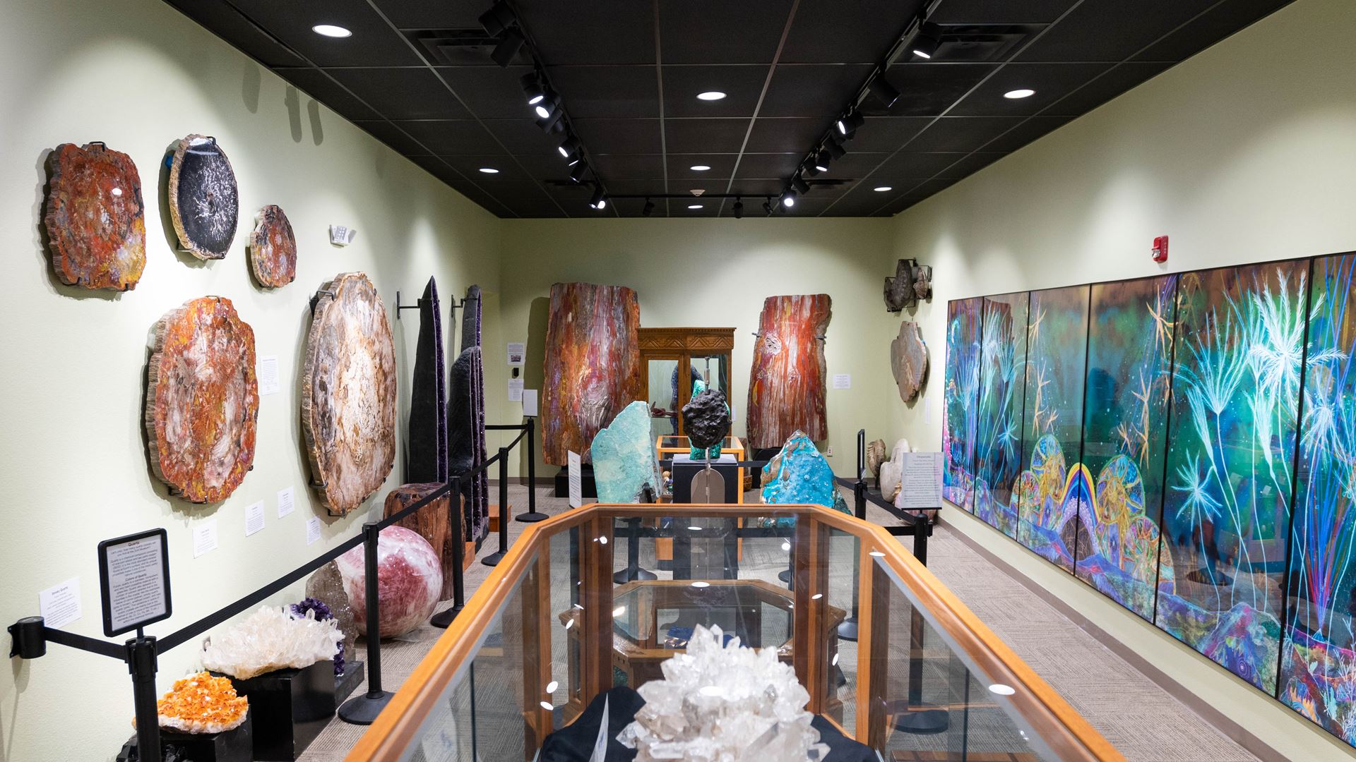 NMSU Zuhl Museum reopens for visitors Feb. 18