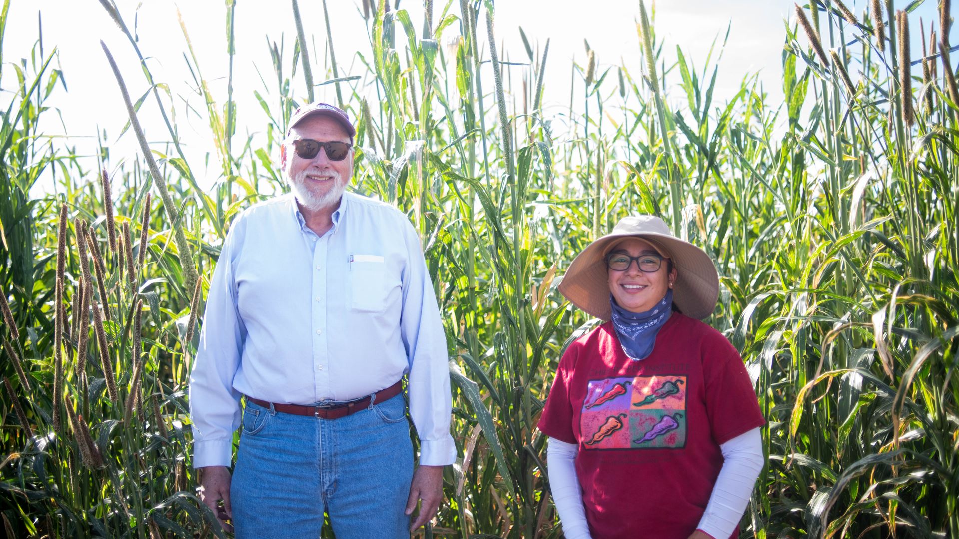 NMSU projects awarded funding for research on organic farming