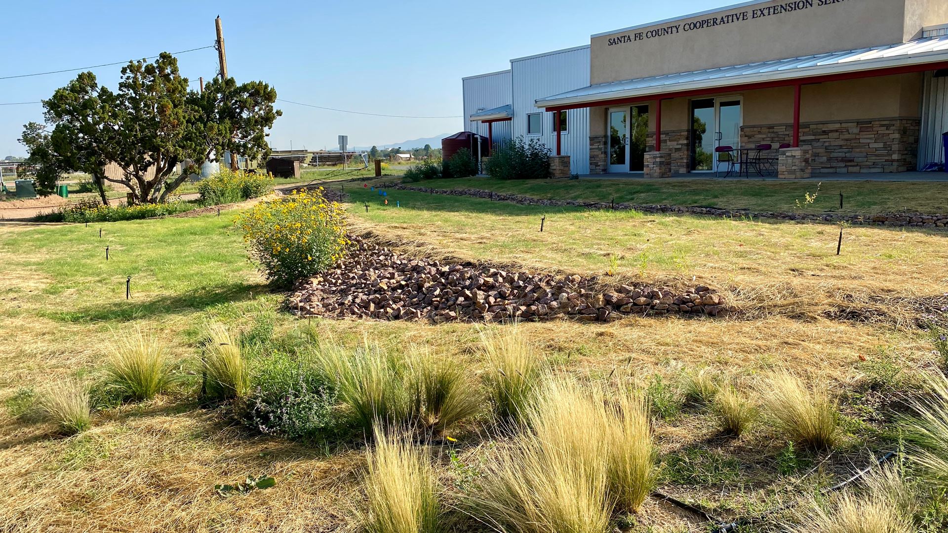 Native plant gardens take shape at NMSU Cooperative Extension Office in Santa Fe County