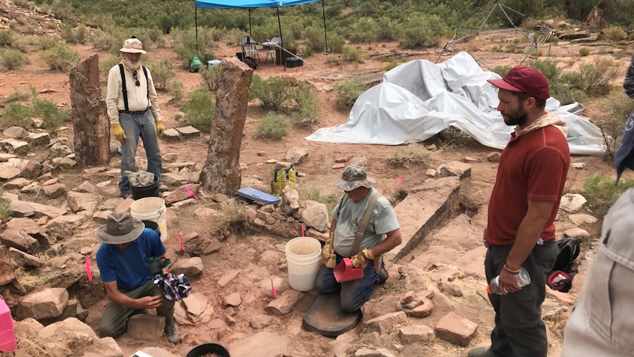 Anthropology students excavating