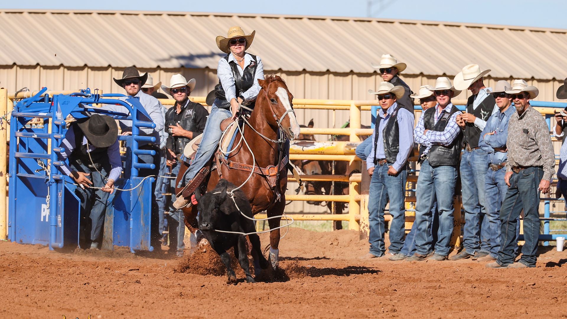 Ellie Anderson NMSU Rodeo