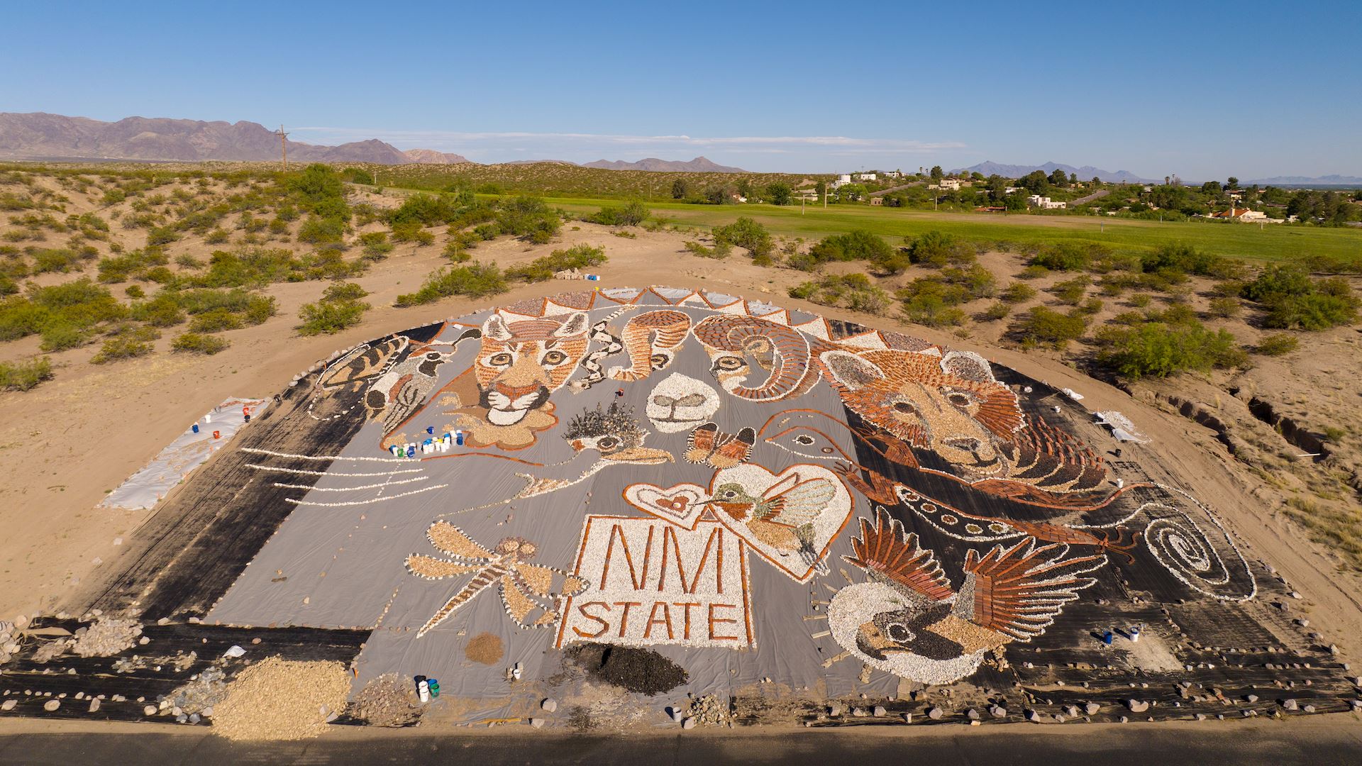Las Cruces artist continues work on wildlife inspired rock mural at NMSU Golf Course