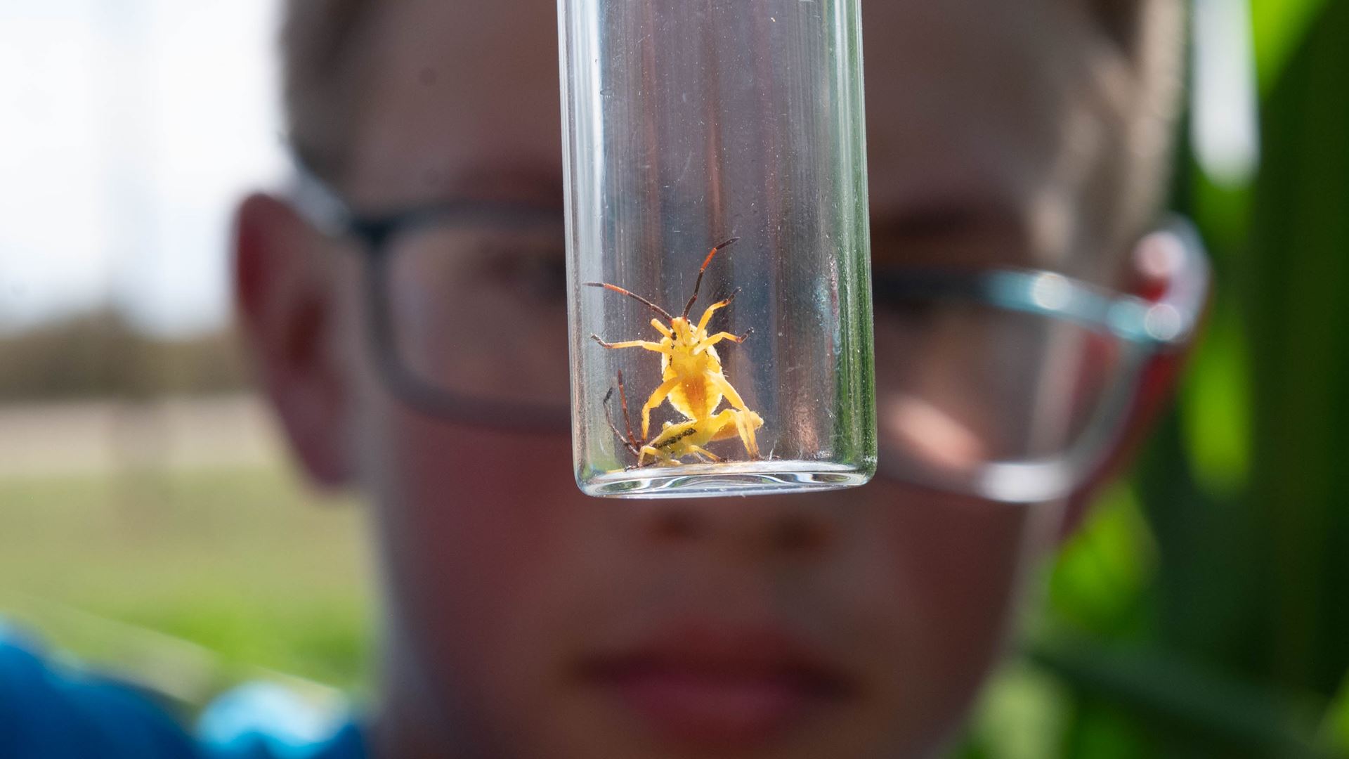 A boy looking at a bug in a glass vial