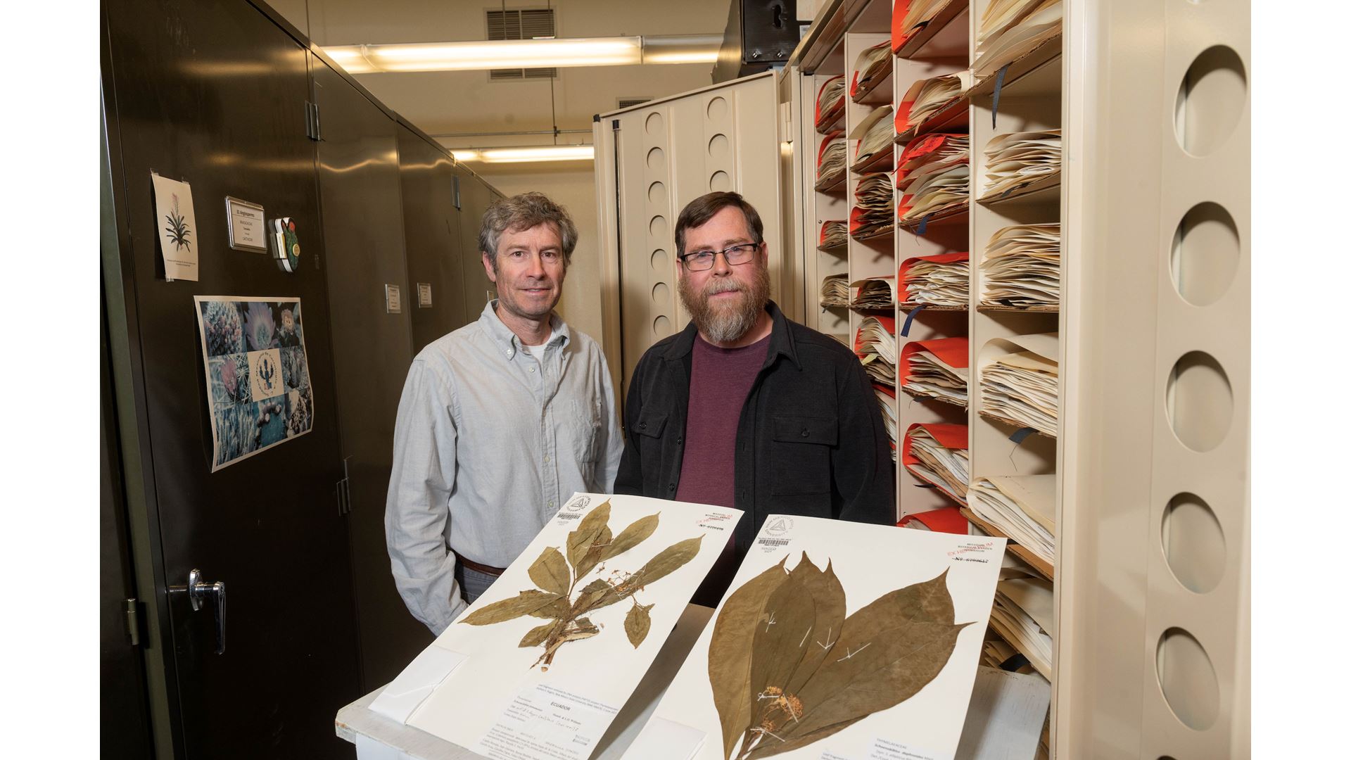 NMSU researchers contribute to understanding flowering plant tree of life