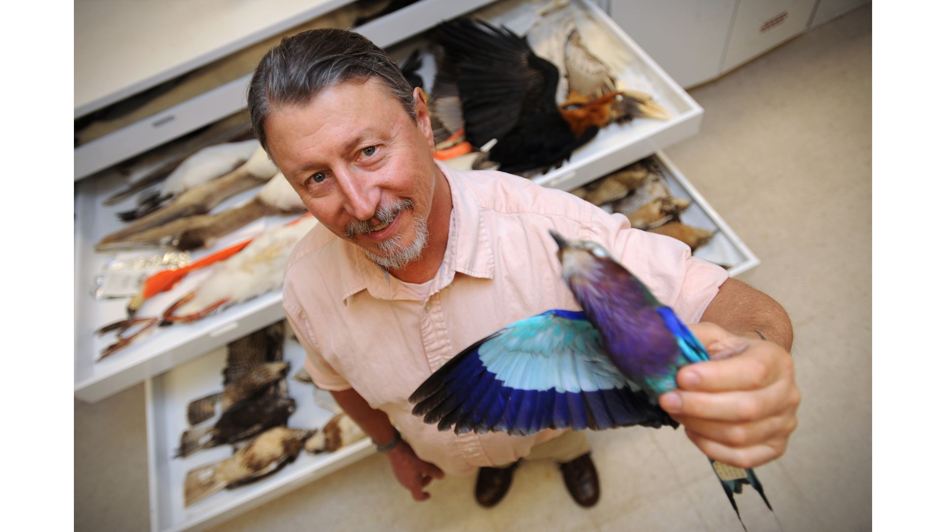 Phase 2 of NMSU professor s bird genome research reveals new methods