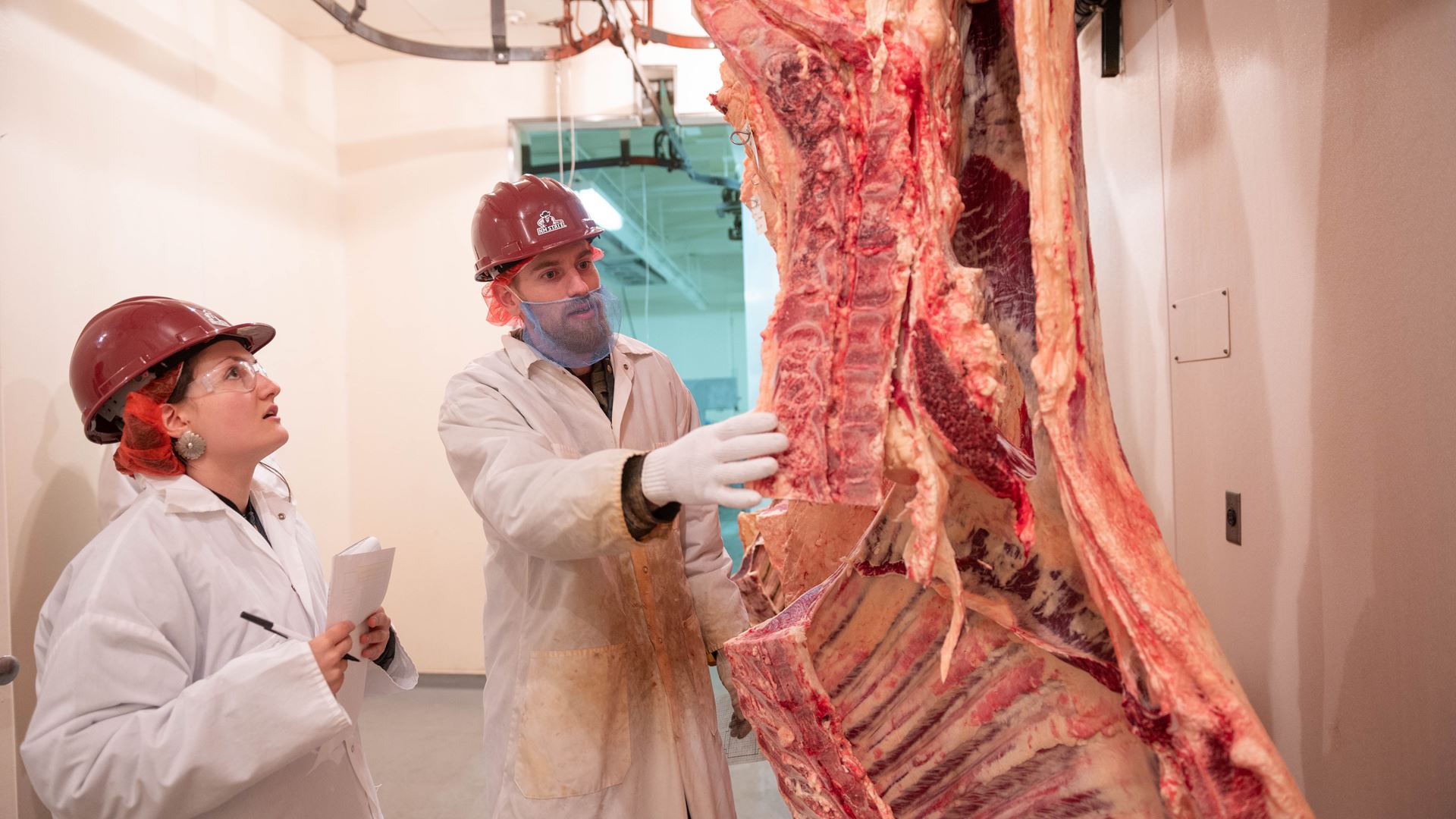 Meat judging team