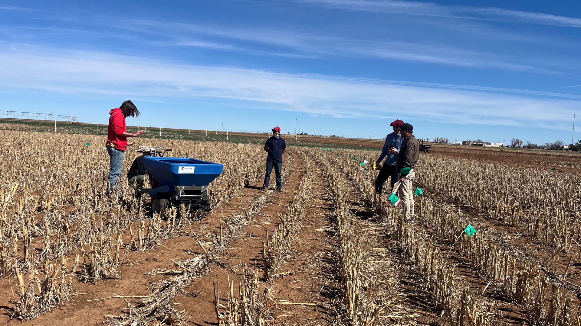 A group of people working in a field