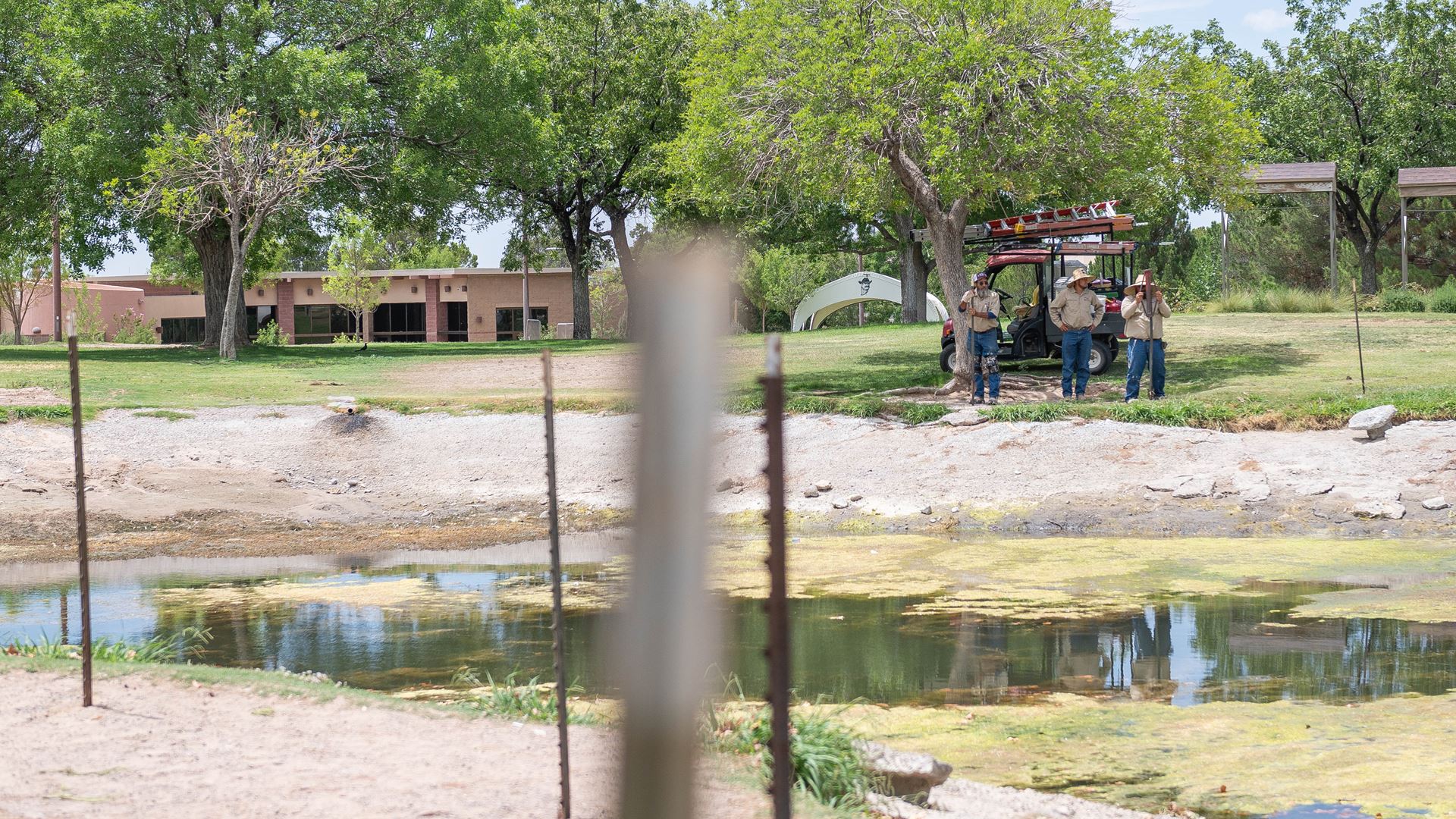 Photo of NMSU Alumni pond prior to renovations
